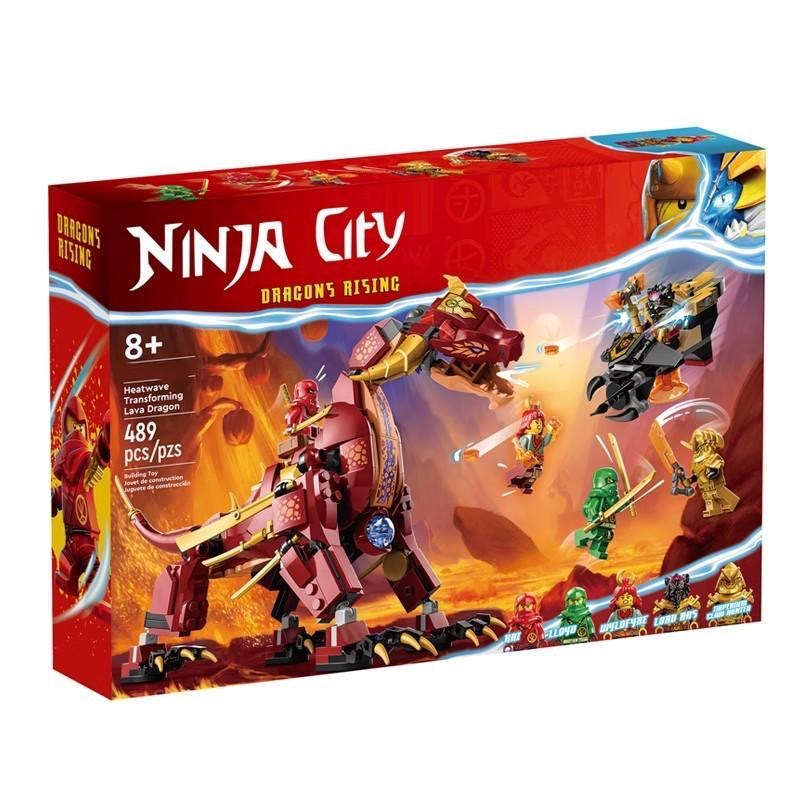 Ninjago Set